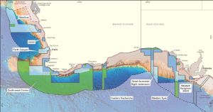 Pic: Mick Fletoridis